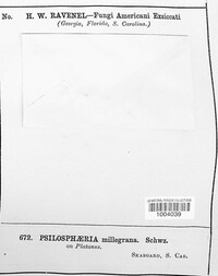 Image Associated With the Occurence